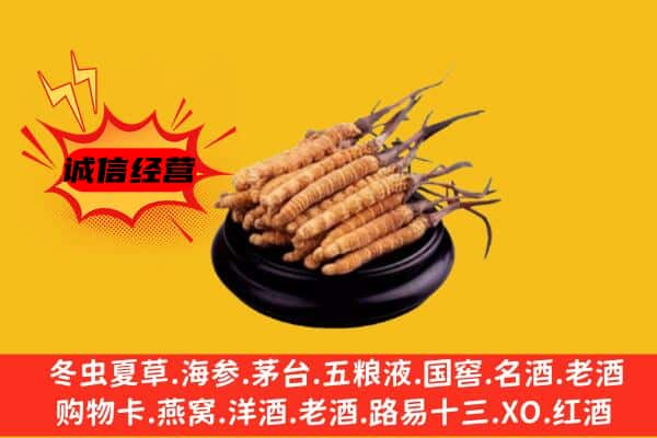 昆都仑区回收虫草